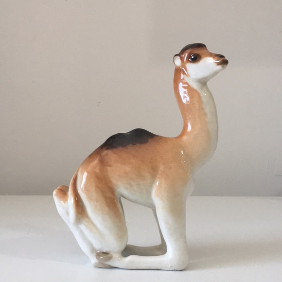 Lomonosov Camel 🐪 - Picture 1 of 6